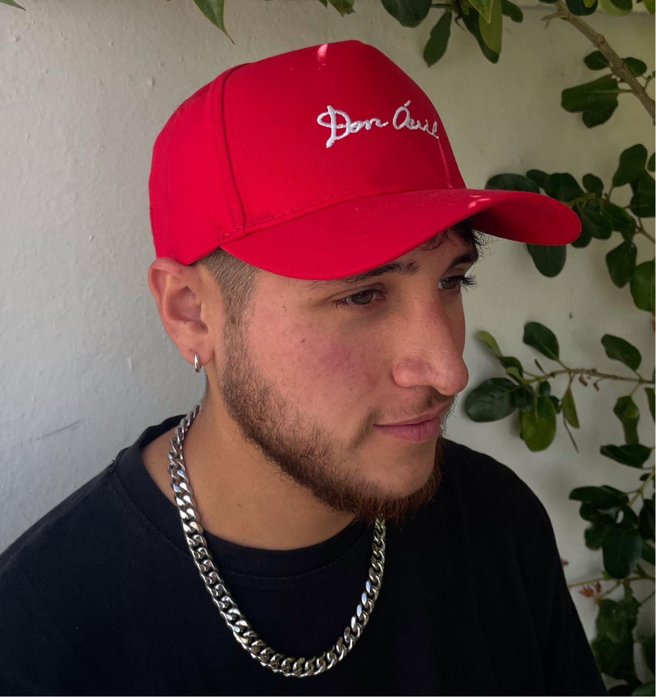 Don Ávil Logo Cap "Rojo"